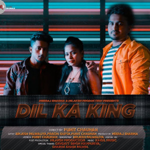Listen to Dil Ka king song with lyrics from SRK