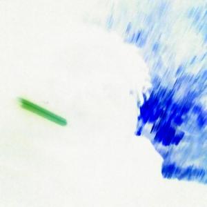 Album Prosperous Bastard (Explicit) from LI TWANÉ