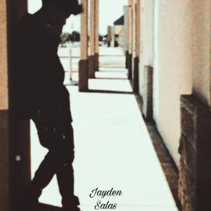 收聽Jayden Salas的FELL IN LOVE歌詞歌曲