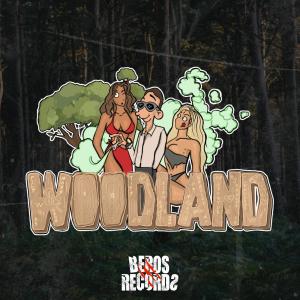 Listen to Kaster Lasso (Woodland 2024) (Explicit) song with lyrics from PASTILLE