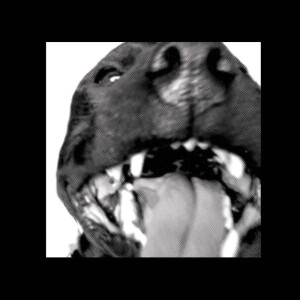 ดาวน์โหลดและฟังเพลง Country พร้อมเนื้อเพลงจาก Flats