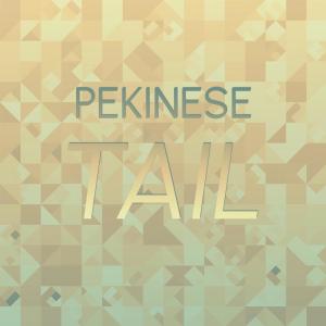 Pekinese Tail dari Various