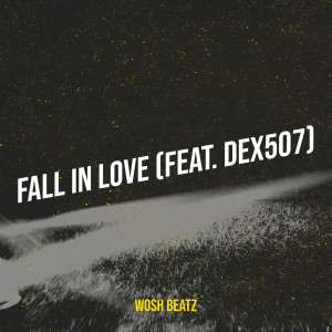 Listen to Fall in Love song with lyrics from WOSH BEATZ
