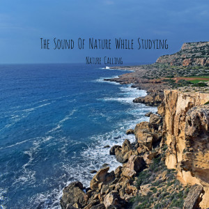 Dengarkan lagu The Sound Of Romantic Waves nyanyian 네이쳐콜링 dengan lirik