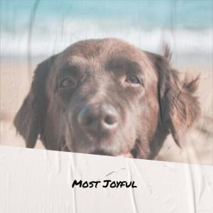 Various的专辑Most Joyful