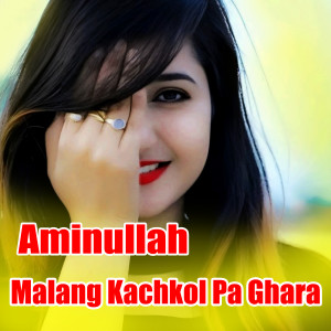 Malang Kachkol Pa Ghara dari Aminullah Marwat