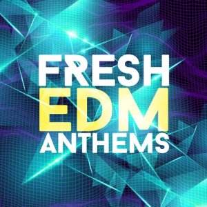 ดาวน์โหลดและฟังเพลง Totally Fine พร้อมเนื้อเพลงจาก Fresh EDM