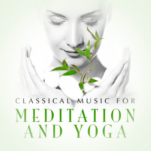 收聽New Zealand Symphony Orchestra的Adagio for Strings, Op. 11a歌詞歌曲