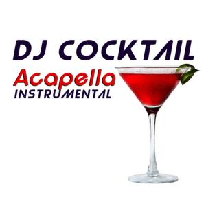 ดาวน์โหลดและฟังเพลง Acapella (Instrumental) พร้อมเนื้อเพลงจาก DJ Cocktail