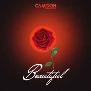 Camidoh的专辑Beautiful