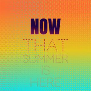 Listen to Now That Summer Is Here song with lyrics from The Videls & The Paradons