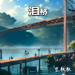 Album 泪桥（治愈少年版） from 空耿耿
