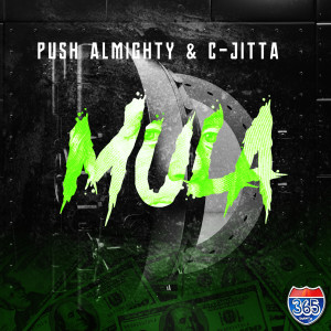 Listen to Mula (Explicit) song with lyrics from Push Almighty