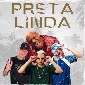 Listen to Preta Linda (Explicit) song with lyrics from DJ Juninho da Vs