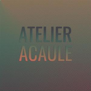 Album Atelier Acaule oleh Various