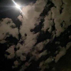 ดาวน์โหลดและฟังเพลง Pity the fool พร้อมเนื้อเพลงจาก Nekai