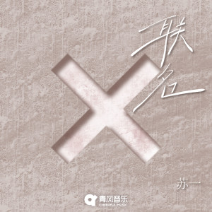 Listen to 联名 song with lyrics from On苏一
