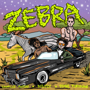 Digitzz的专辑Zebra (Summer Mix)