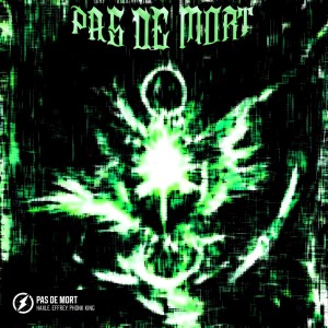 Listen to PAS DE MORT (Super Slowed) song with lyrics from HAXLE