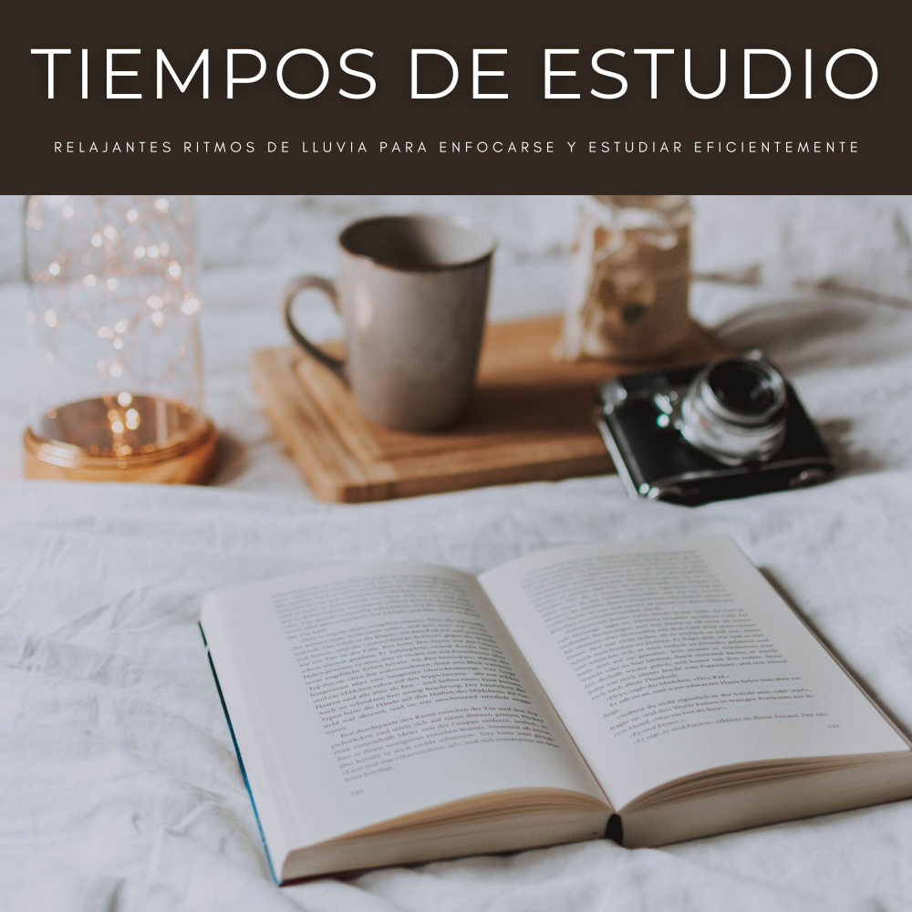 Tiempos De Lectura