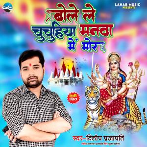Album Bole Le Chuchuhiya Manwa Me Mor from Dilip Prajapati