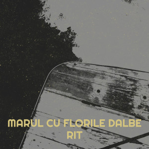 Listen to Marul Cu Florile Dalbe song with lyrics from Rit