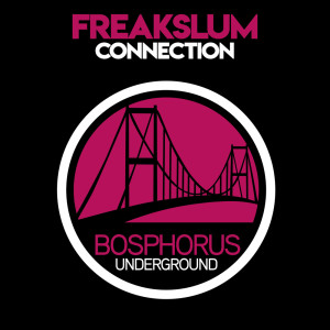 Listen to Kontra song with lyrics from Freakslum
