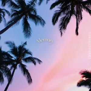 Vacay的專輯Memory