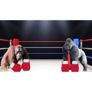 收聽Soulja的능구렁이 (Explicit)歌詞歌曲