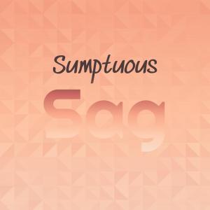 Various Artists的專輯Sumptuous Sag