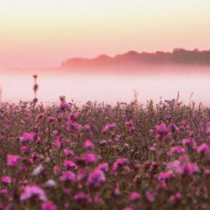 收聽noteaf的Summer Thrills歌詞歌曲