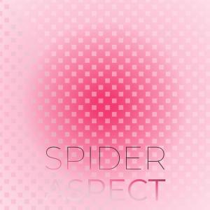 Various Artists的專輯Spider Aspect