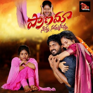 Listen to Pranama Ninnu Nammukunna song with lyrics from Srinidhi