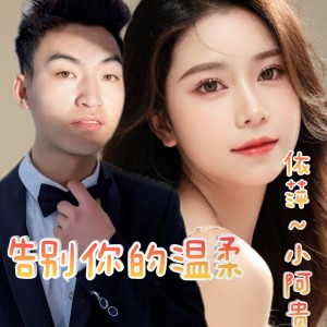 Album 告别你的温柔(翻唱) from 依萍