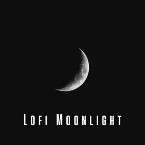 Lofi Moonlight: Dreamy Tunes for Sleep