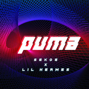 Dengarkan lagu Puma nyanyian Lil Hermes dengan lirik