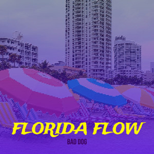 Listen to Florida Flow song with lyrics from Bad Dog