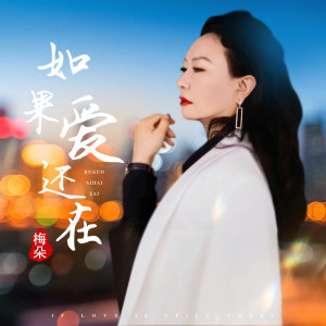 Dengarkan lagu 如果爱还在 nyanyian 梅朵 dengan lirik