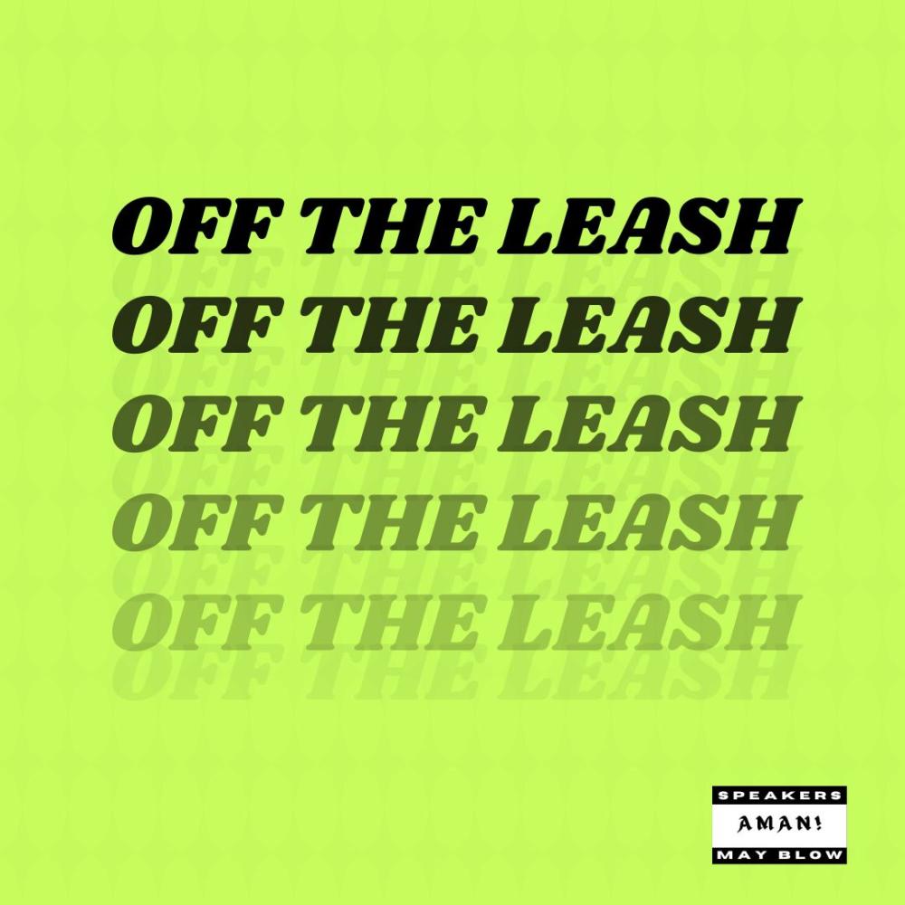 Off The Leash (feat. ProdByLucas) (Explicit)