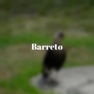 Listen to Process Wherewith song with lyrics from Jick Koco