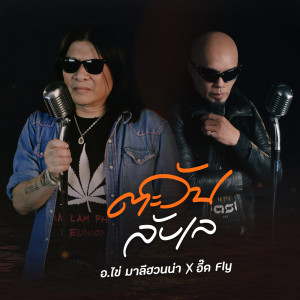 อัลบัม ตะวันลับเล - Single ศิลปิน อ.ไข่ มาลีฮวนน่า