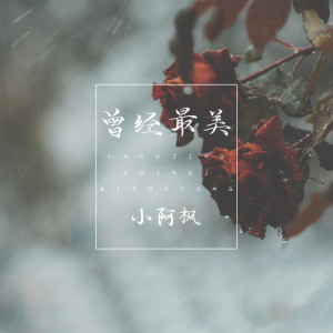 收听小阿枫的曾经最美歌词歌曲