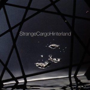 ดาวน์โหลดและฟังเพลง Say Anything พร้อมเนื้อเพลงจาก Strange Cargo