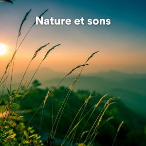 Sons De La Nature的专辑Nature et sons
