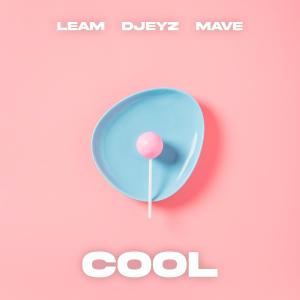 COOL (Radio Edit) dari LeAm