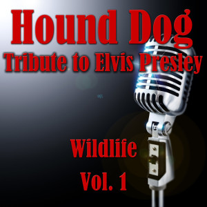 Dengarkan Hound Dog lagu dari Wildlife dengan lirik