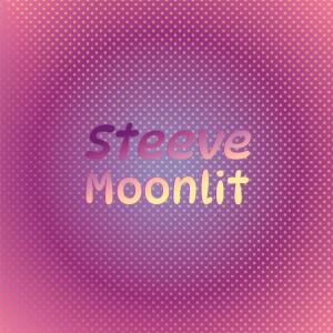 Steeve Moonlit dari Various