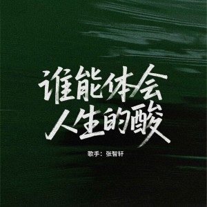 Listen to 谁能体会人生的酸 (完整版) song with lyrics from 张智轩