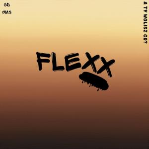 Album FLEXX (feat. Igor Sid) from Guma