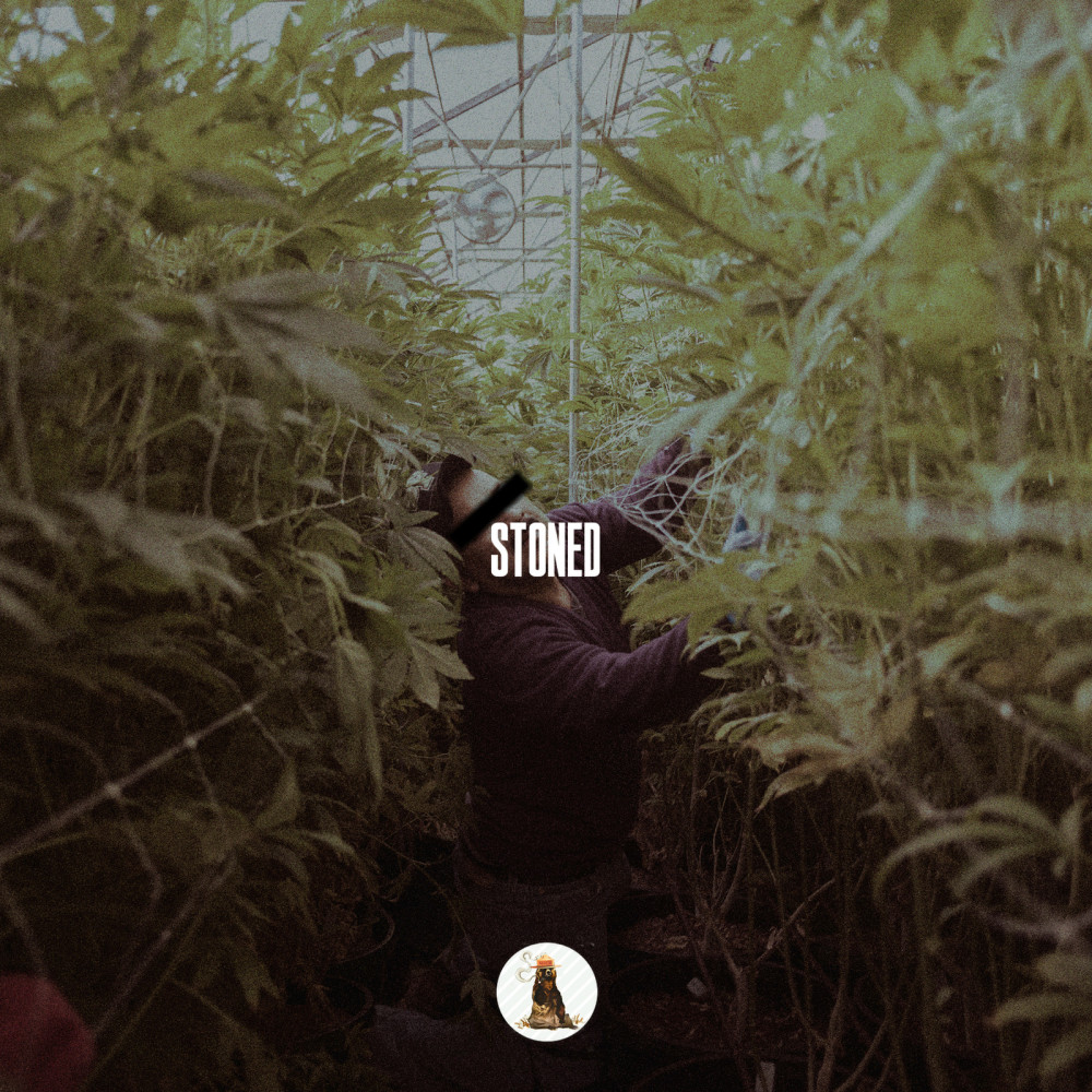 Stoned (Explicit)